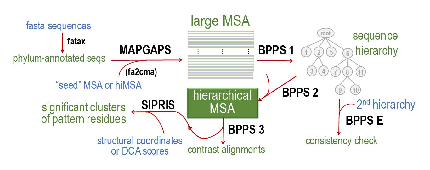 SIPRIS process illustration